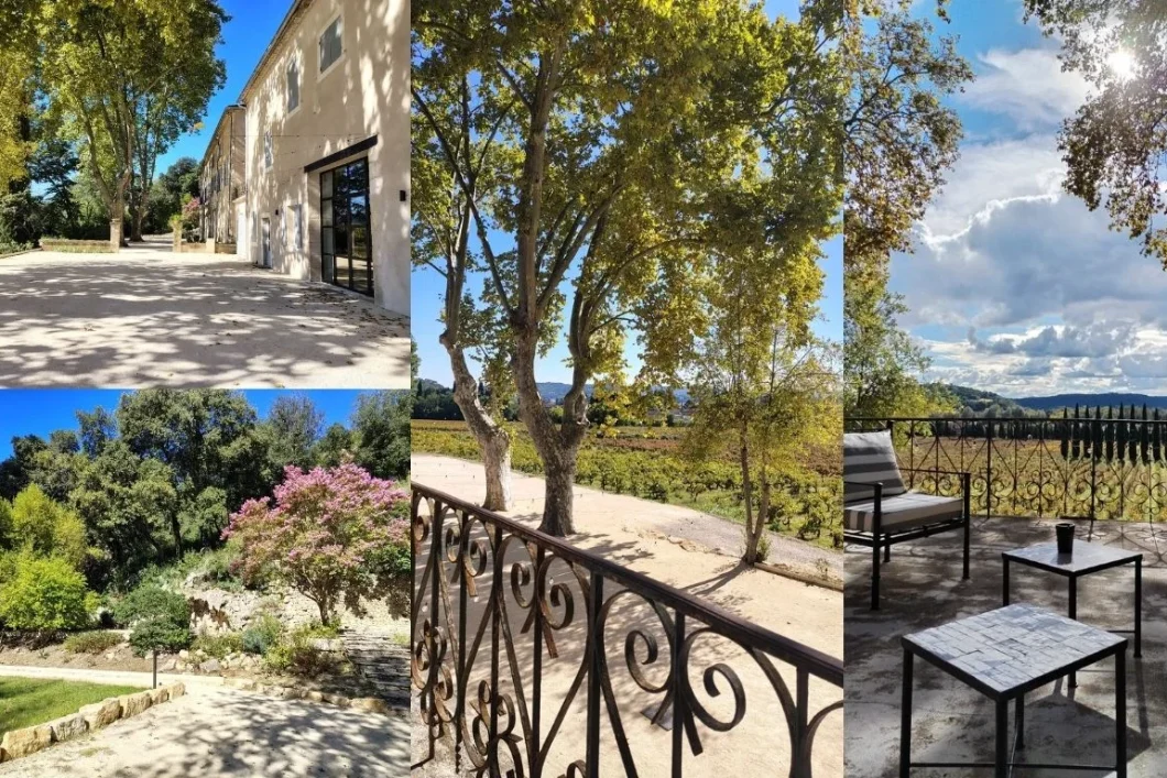 chateau-olivete-iconic-celebration1