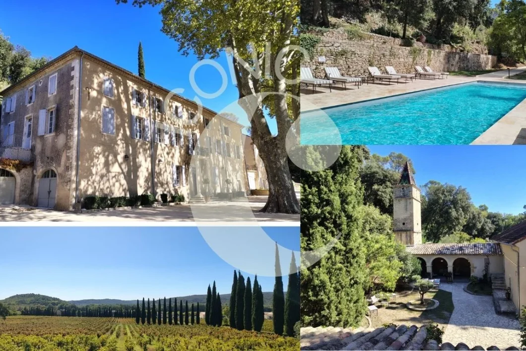 chateau-olivete-iconic-celebration5